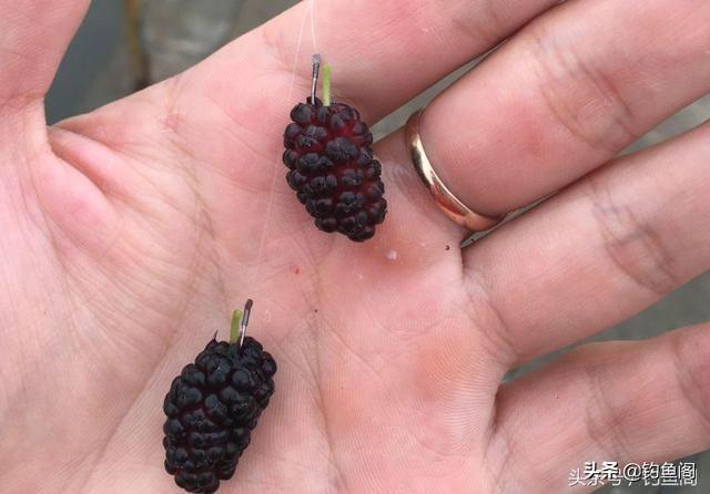 草鱼玉米如何搭配做馅儿(图5)