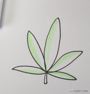 花卉树木手绘简笔画 花草图片