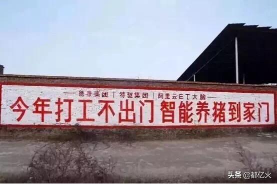 小彭在海外生活，小彭在海外生活了多久