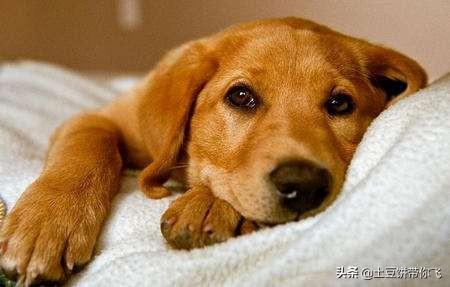 古风出场电影有哪些