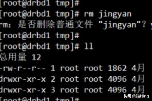 linux下创建文件和文件夹？怎么在文件夹下新建文件？