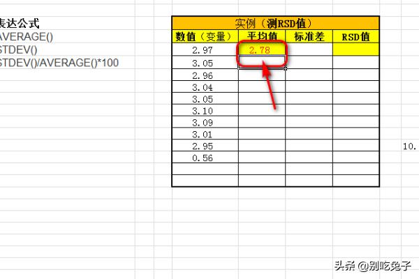 rsd的计算方法？：rsd计算