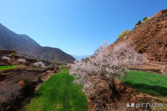 美术app开发前景
