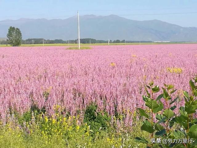 新疆必去景点排名第一名(图22)