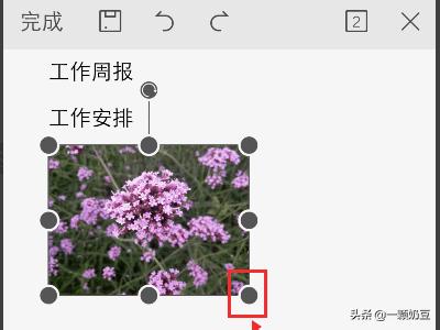 手机壁纸女（手机WPS怎样把图片的格式变成jpg？）