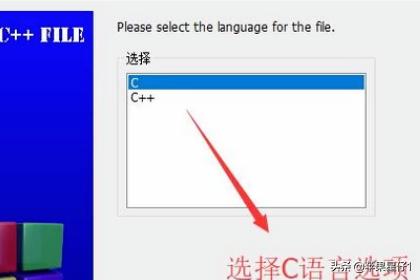 c语言搭建网站