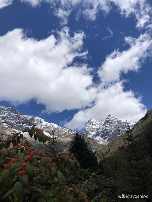 成都市有哪些景物类型