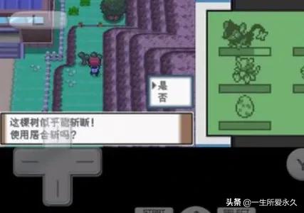 口袋妖怪白金光图文攻略 口袋妖怪白金光图文攻略口袋妖怪白金光剑舞在哪儿学-第4张图片-Game优搜