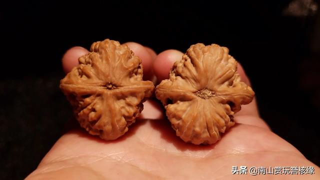 文玩核桃狮子头文玩核桃狮子头图片