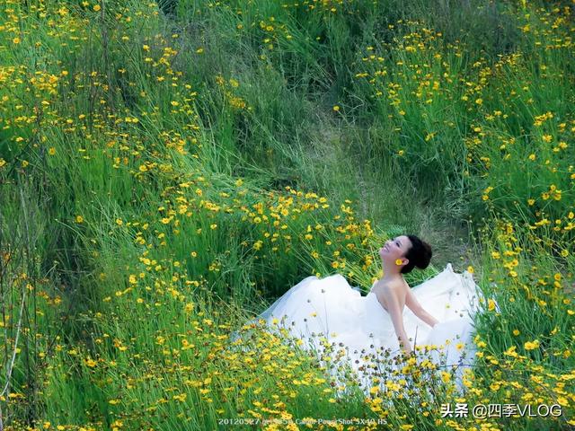婚纱摄影师，婚纱摄影师工资高吗