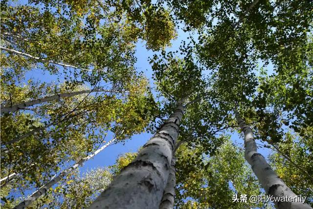 年假了去哪旅游