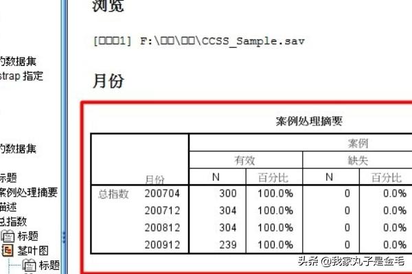 SPSS如何使用bootstrap方法