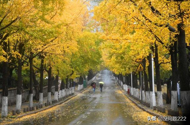 山东青岛景点门票价格多少， 山东青岛景点门票价格多少钱