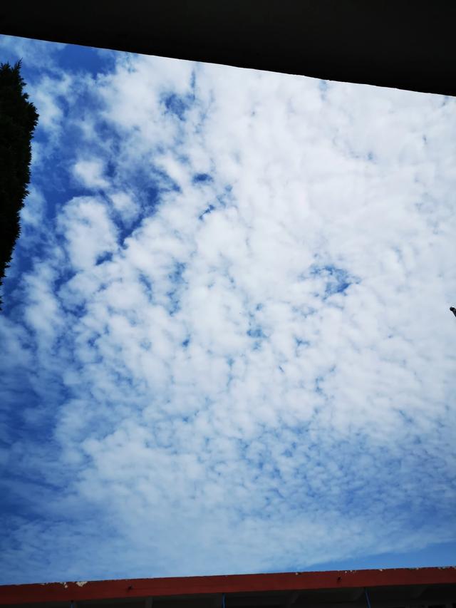 南辕北辙（南辕北辙的故事）