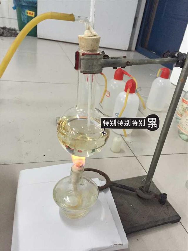 英雄联盟女教师（为什么化学老师都是女的？）