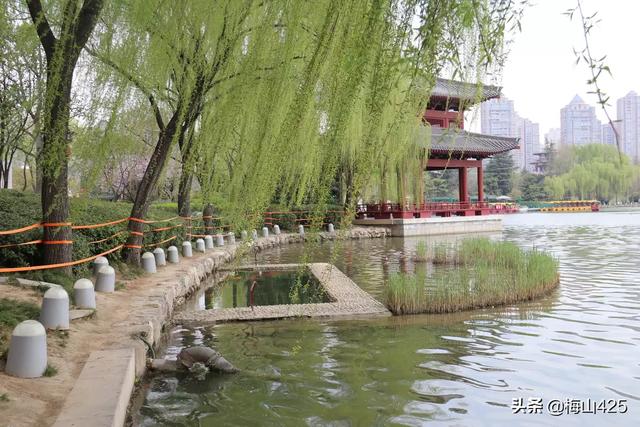 财务基本知识，财务方面的基础知识