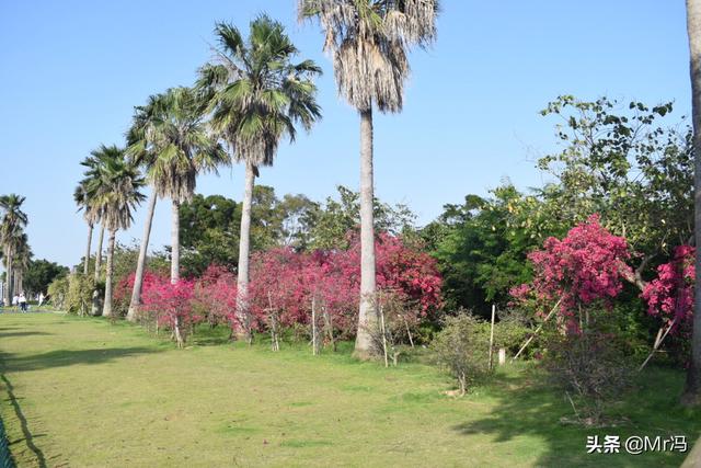 适合老婆去的旅游景点大全， 适合老婆去的旅游景点大全推荐