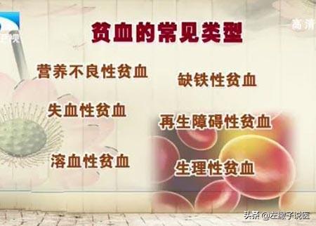 贫血吃什么补血效果最好女人(图14)