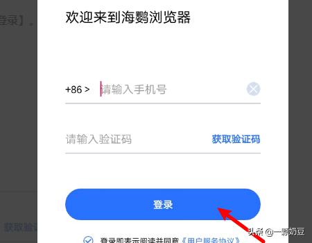 海鸥跨境加速器怎么样
