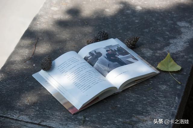 免费书城_免费书城app下载