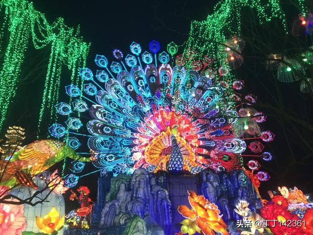 美术app开发前景
