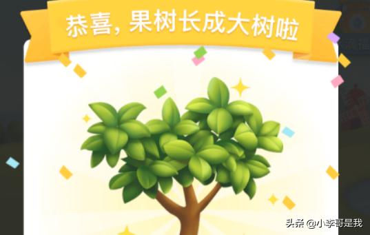拼多多果园怎么种水果树？：图种怎么打开
