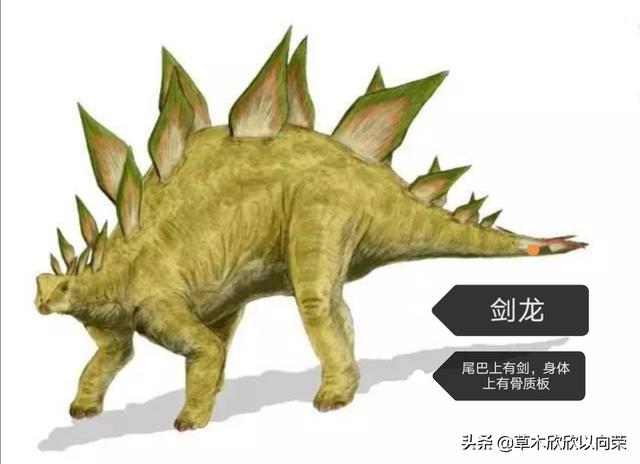 常见的恐龙名字及图片（常见的恐龙名字及图片大全）