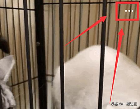 如何下载新浪视频-如何下载新浪视频的视频?