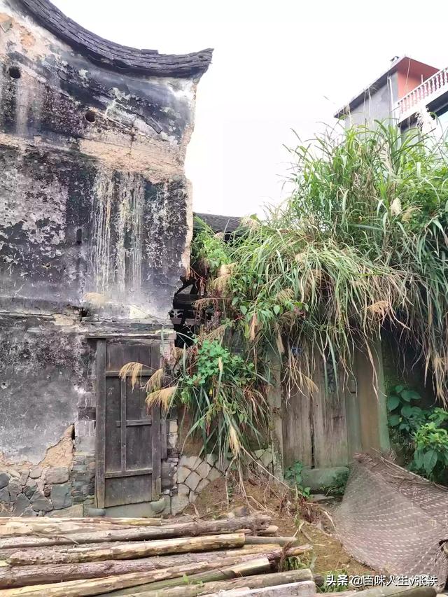 草莓博览园-草莓博览园门票多少钱