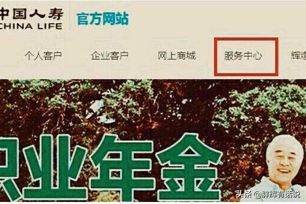 中国人寿保险车险查询，中国人寿保险车险查询官网