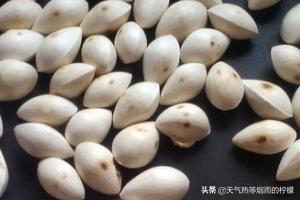 炒白果-炒白果怎么炒才好吃