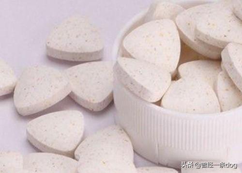 怎么训练宠物不挑食吃(图12)