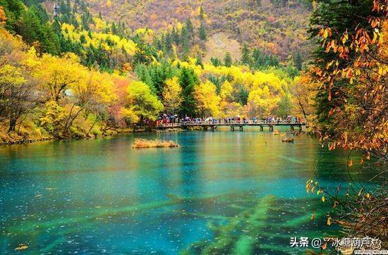 中国排行榜 （中国排行榜首富前十名）
