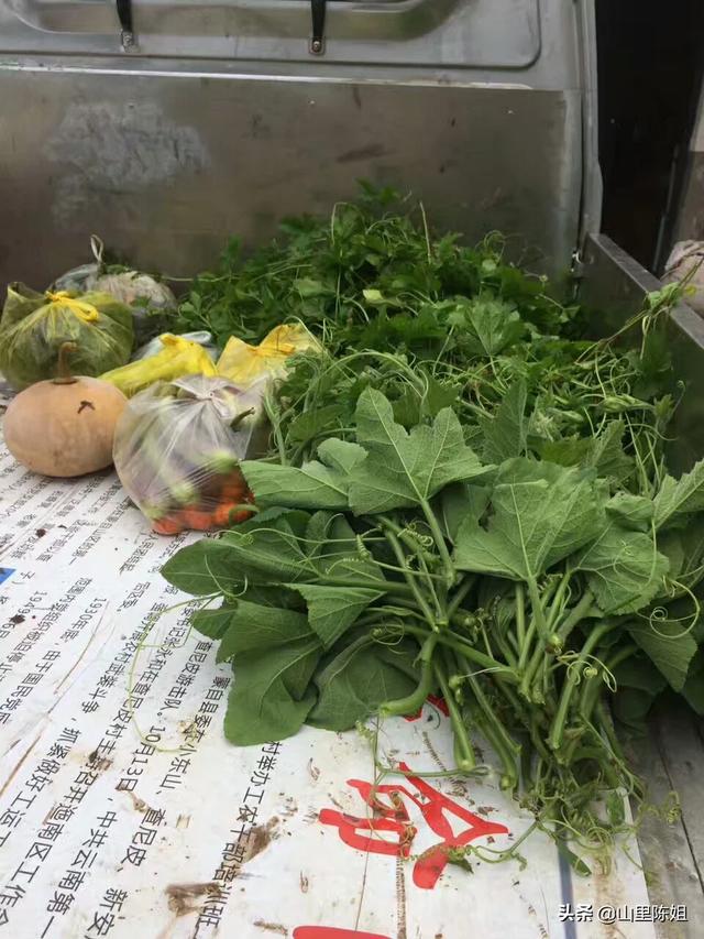 多地蔬菜贱卖无人收割_为什么农民种出来的菜低价卖不出去，但我们周围的菜高的惊人？