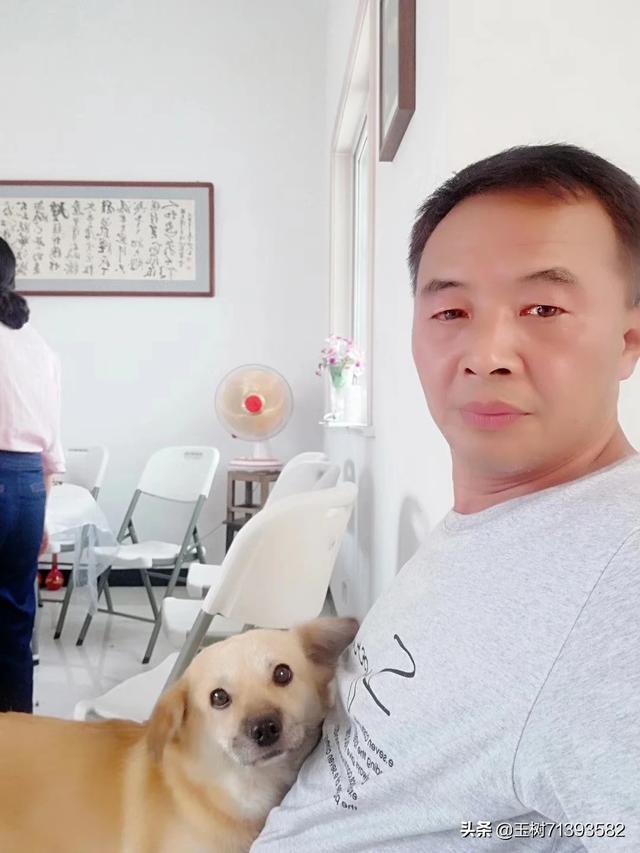 家和寵物市場?家和寵物市場在哪里!
