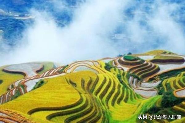 桂林必去景点线路图大全(图18)