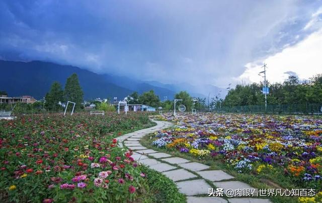 宏博花卉基地?宏博花卉基地地址!