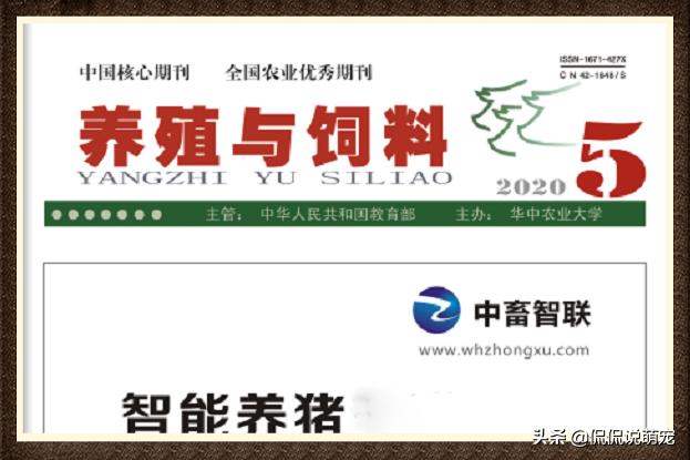 小狗的生活習性?小狗的生活特征和生活方式!