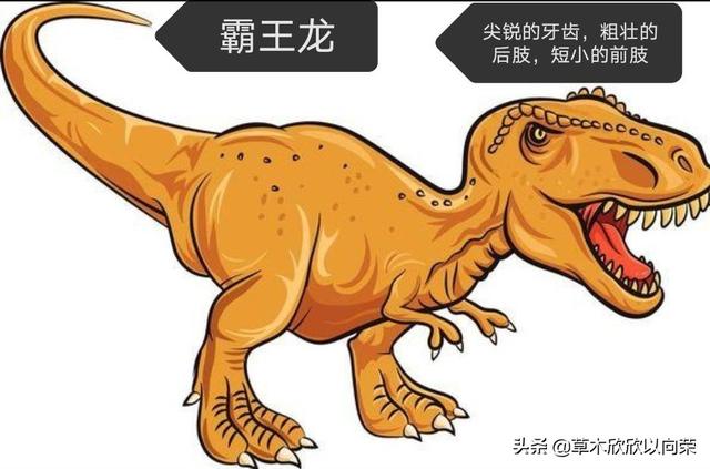 常见的恐龙名字及图片（常见的恐龙名字及图片大全）