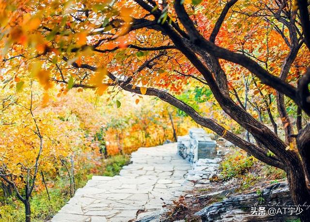 意甲球员合同续约规定？：马特里