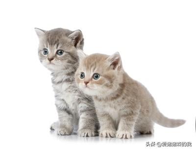 女性尿结石是什么症状(图1)
