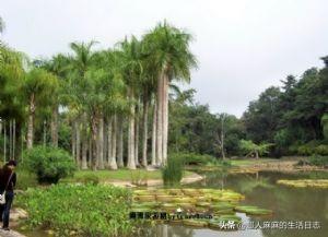 云南旅游必去景点推荐 国内景区-云南旅游必去景点推荐 国内景区有哪些