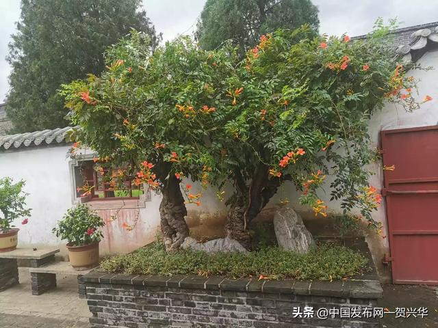 如何在app上推广产品