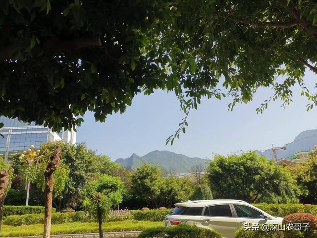 兴山必去景点推荐一下图片