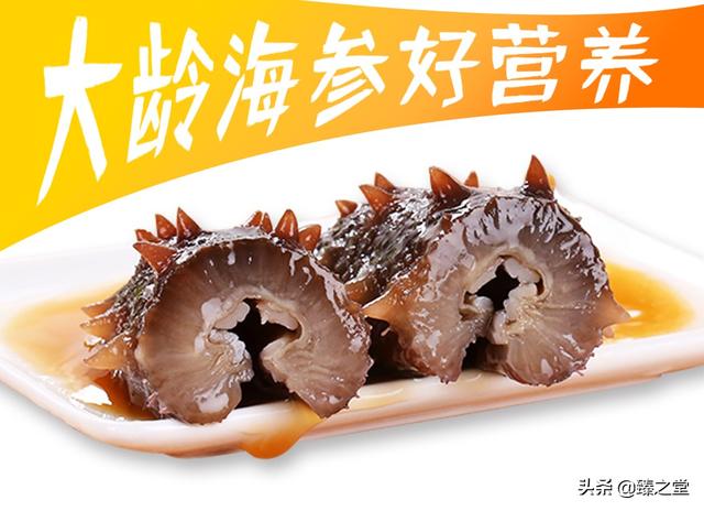 海参有什么特点和功效(图9)