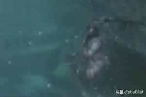 只狼攻略 只狼攻略流程游民星空-第13张图片-Game优搜