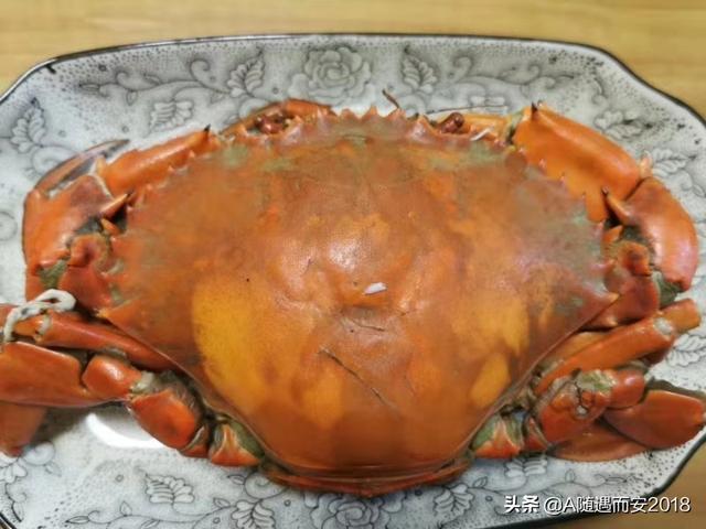 赛车小游戏 赛车小游戏免费秒玩入口-第21张图片-1050游戏知识