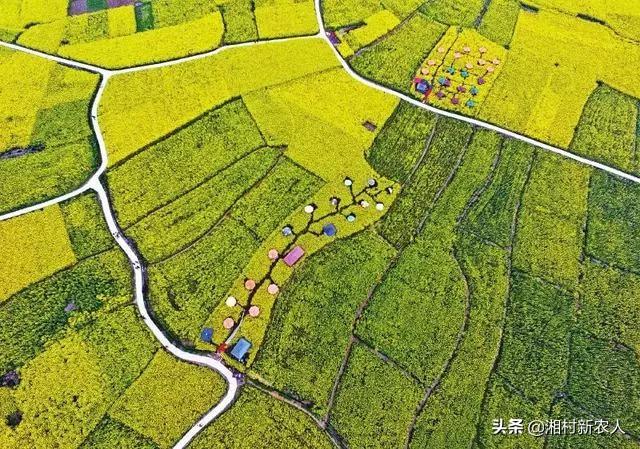 一二三产业具体指什么(农村一二三产业融合发展)