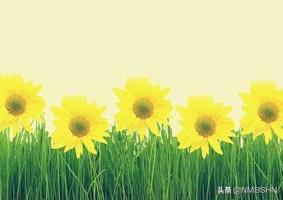 不要说你错不要说我对（儿子试卷改错了，多扣了分，要不要跟老师提？）