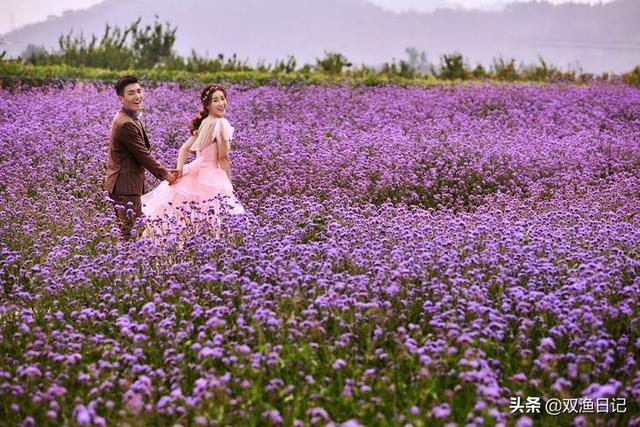 青岛圣瓦伦丁婚纱摄影，青岛圣瓦伦丁婚纱摄影有限公司